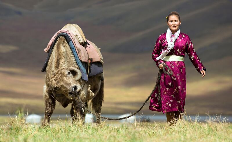 Horse riding with Mongolian nomads