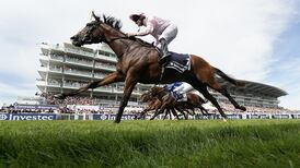 O’Briens could return their horses to action at Navan on Wednesday