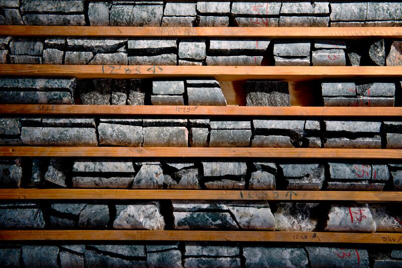 Cores of minerals that  drilled in Narsaq, Greenland in 2012. Photograph: Andrew Testa/New York Times
                      