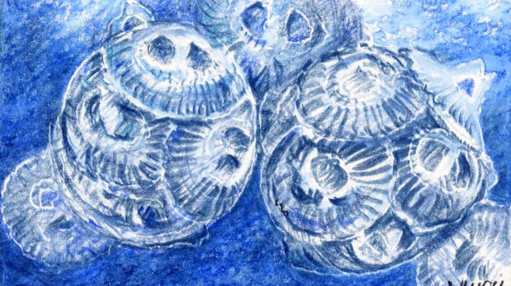 Emiliania huxleyi, a type of phytoplankton which could prove useful in the fight against climate change. Photograph: Michael Viney