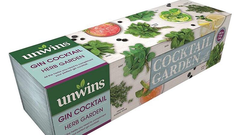 This  smart gin cocktail kit by Unwins, €14.99, is available from The Orchard in Celbridge.