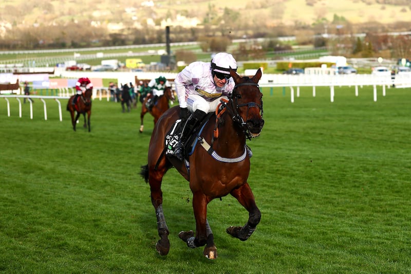The prospect of a peak Constitution Hill in full flight will generate massive excitement. Photograph: Getty Images