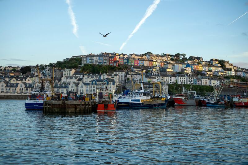 In Brixham and across England's southern coast, fishing crews have reported an extraordinary boom in octopus catches this year. Photograph: Andrew Testa/New York Times
                      