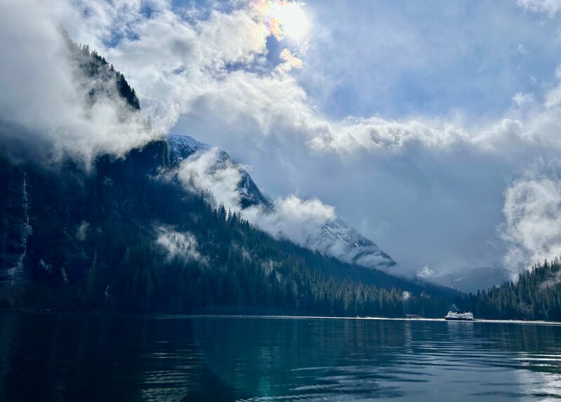 The weather is kind as we sail into God’s Pocket, a sheltered spot on the south side of Queen Charlotte Sound. Photograph: Gemma Tipton