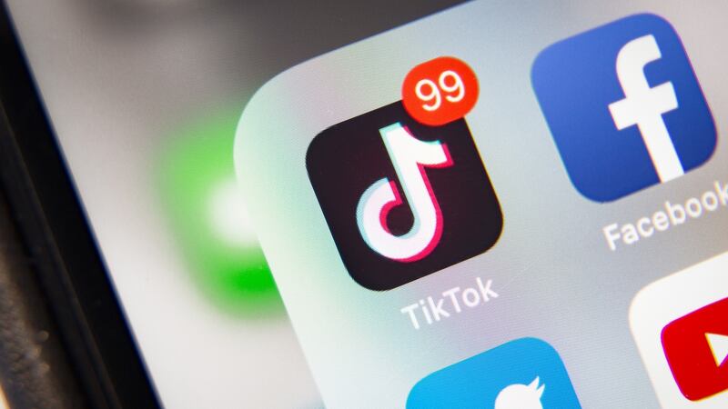TikTok is one of the most popular web domains in the world, particularly among adolescents and young adults. Photograph: iStock