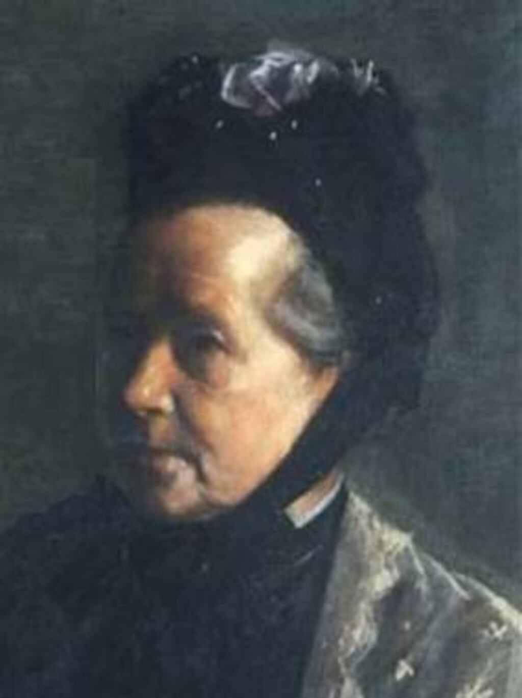 The local elections of 1899 marked a triumph for the veteran suffragist Anna Haslam (1829-1922)