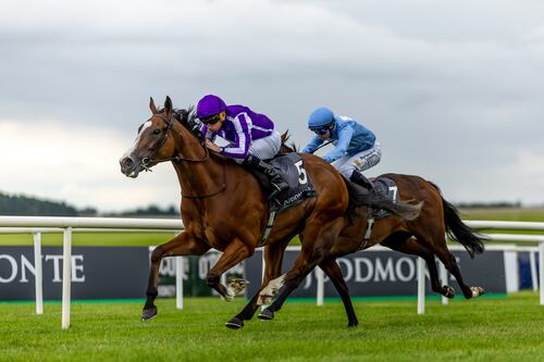 Minnie Hauk’s Irish Oaks success extends Aidan O’Brien’s stunning Group One winning streak
