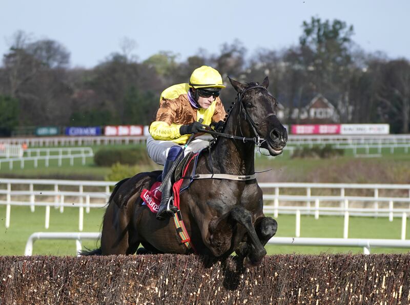 Galopin Des Champs: has enjoyed a foot-perfect campaign and is confidently expected by connections to stay the trip first time of asking. Photograph: Niall Carson/PA