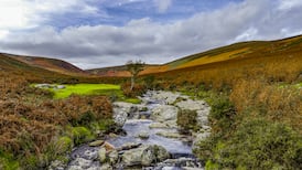 New buildings must present ‘no net loss’ to nature, says Climate Change Council