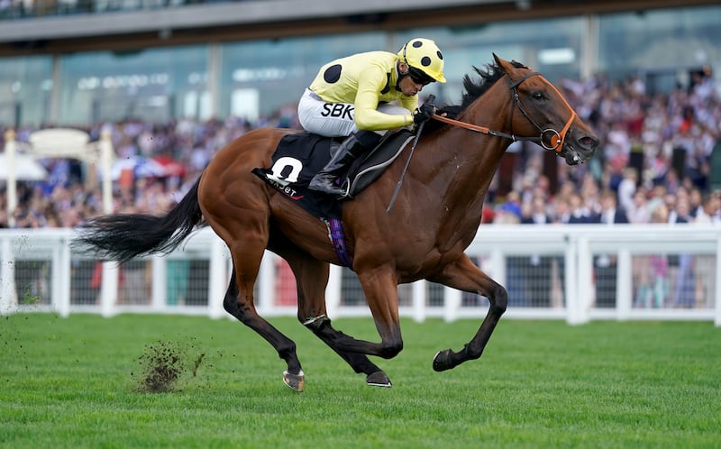 Rosallion is set to make his return to action in Saturday's Boylesports Lockinge Stakes at Newbury. Photograph: Adam Davy/PA Wire