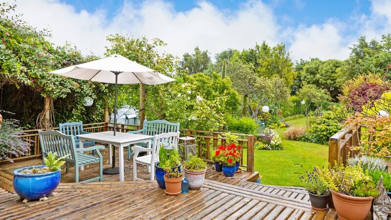 Lush mature garden