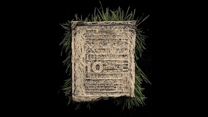 The Book That Grew