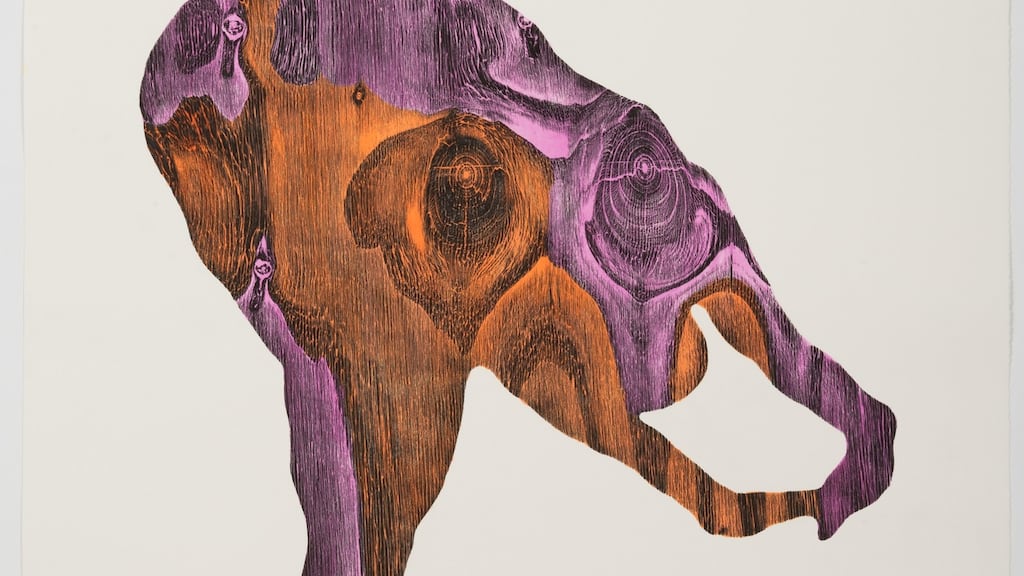 Vox Hybrida 1 by Alice Maher