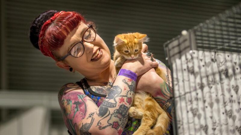 Clodagh Hayde with Spot - a ginger and white non-pedigree kitten - at the Dublin Championship Cat Show  at the RDS Simmonscourt, Dublin. Photograph: Dara Mac Dónaill/The Irish Times