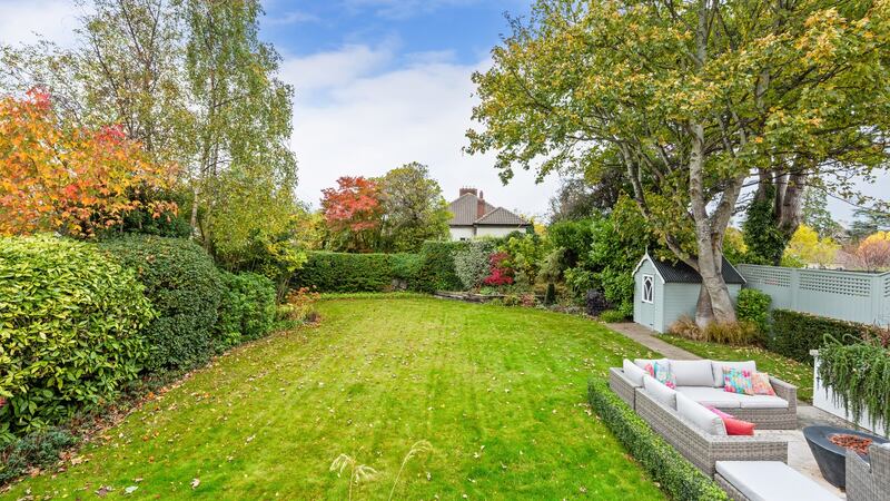 Back garden