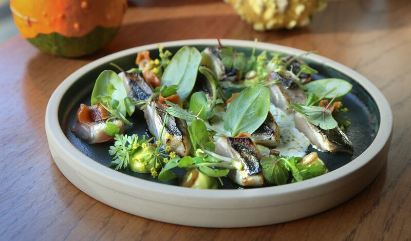 Daróg Wine Bar: Line caught mackerel, fennel emulsion, crispy parsnip. Photograph: Joe O'Shaughnessy