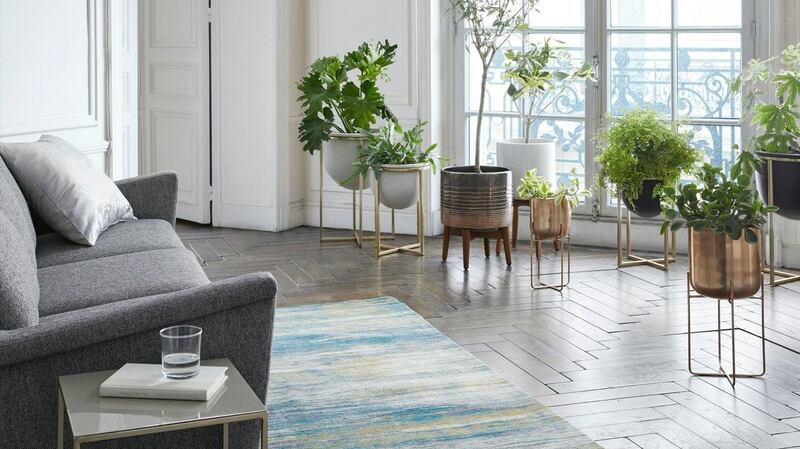 West Elm Modern Living: planters