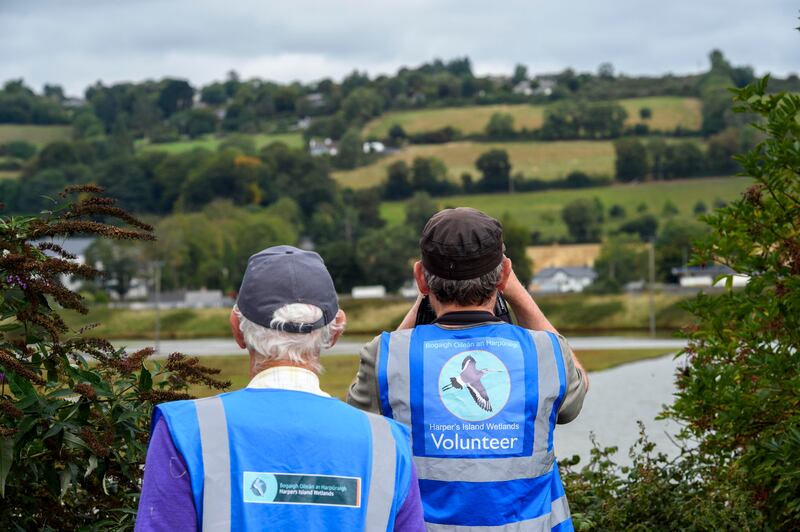 Volunteers on the lookout for birdlife on Harper's Island, Cork Harbour, Co Cork. Photograph: Daragh Mc Sweeney/Provision