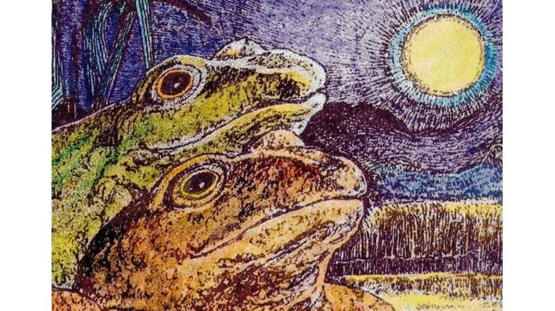 Mating frogs by Michael Viney