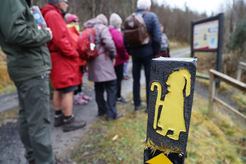 The path takes walkers around the lakeshore and through moss and heather-carpeted forest