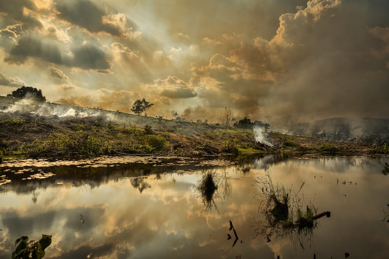 Fires along the Trans-Amazonian Highway near the Aripuana National Forest, in the state of Amazonas. Photograph: Lynsey Addario/Getty Images