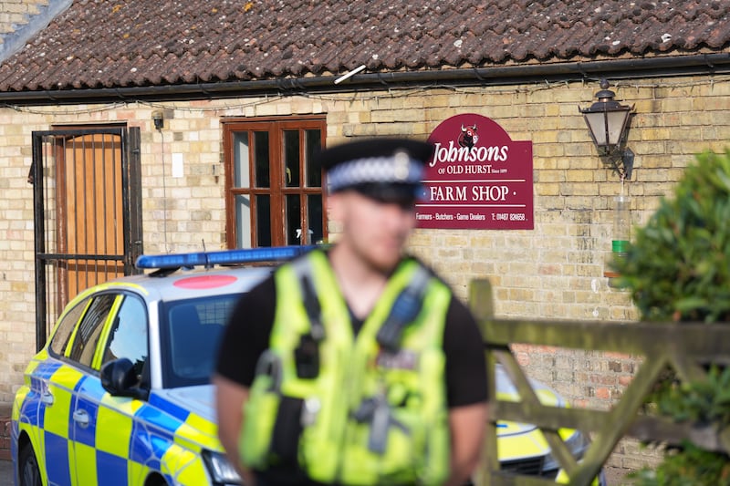 Police release man arrested after three-year-old rescued from zoo crocodile enclosure