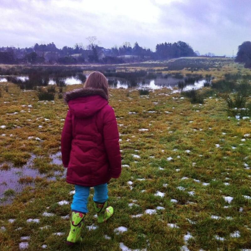 My daughter, Moya, walking the family fields circa 2010