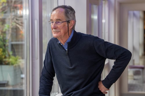 Island of Ireland is ‘not ready’ for a unification referendum, says former tánaiste