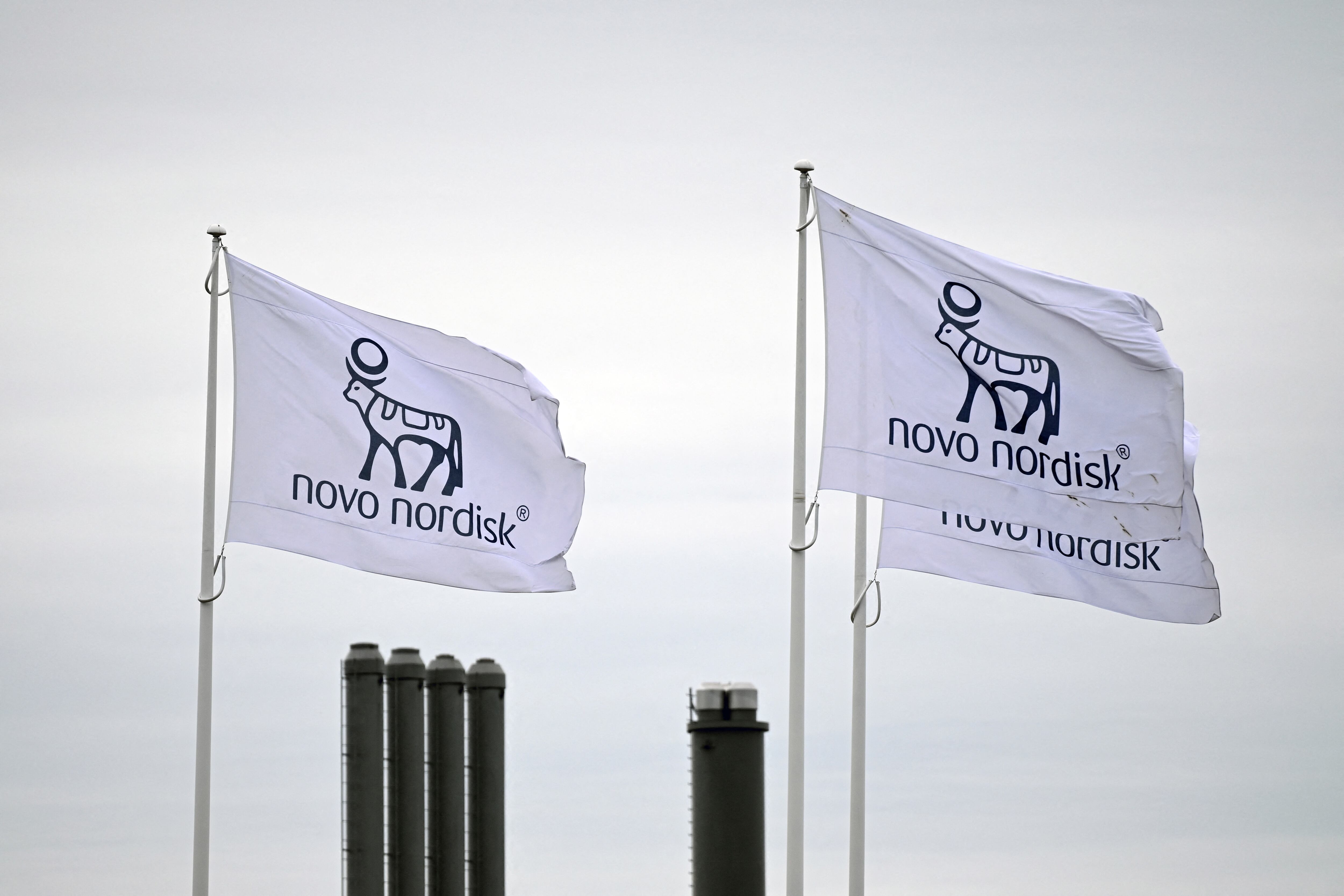 Novo Nordisk shares slump after drug failure in Alzheimer's trial  The  Irish Times