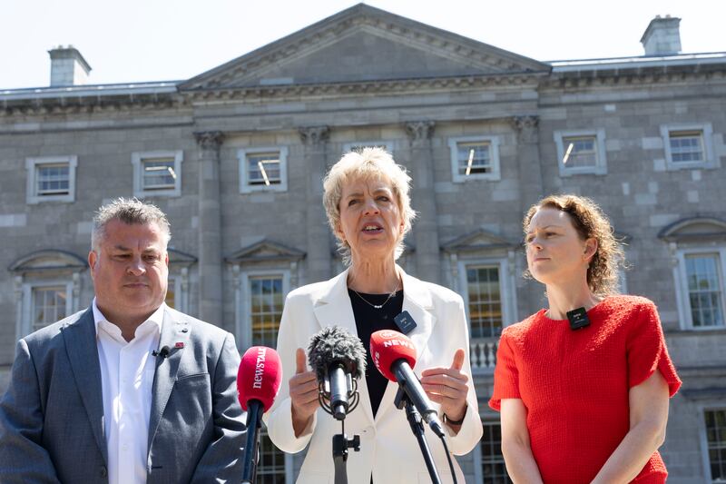 Labour party leader Ivana Bacik TD calls for criminal offence of misconduct in public office. Photo: Sam Boal/Collins