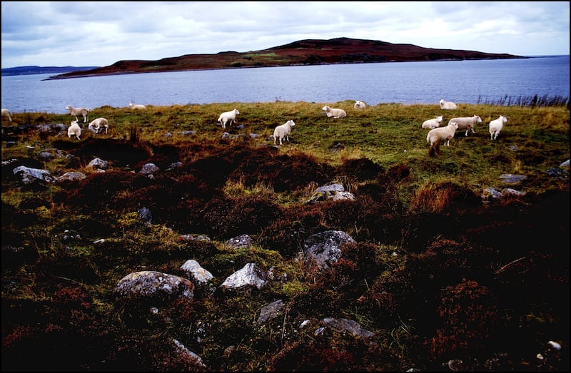 Guinard Island, Scotland, contaminated with Anthrax after a British government chemical weapons experiment
