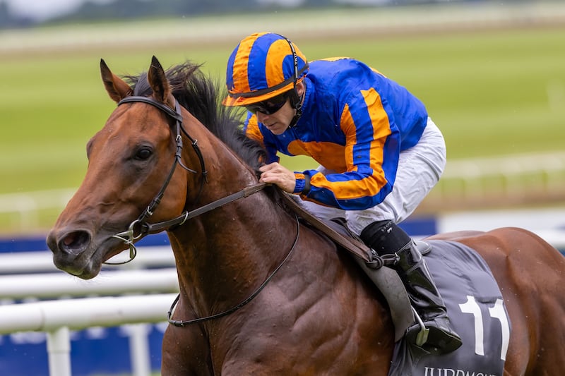 Wayne Lordan on The Lion in Winter wins The Juddmonte Chaldean Irish EBF (C & G) Maiden. Photograph: Morgan Treacy/Inpho