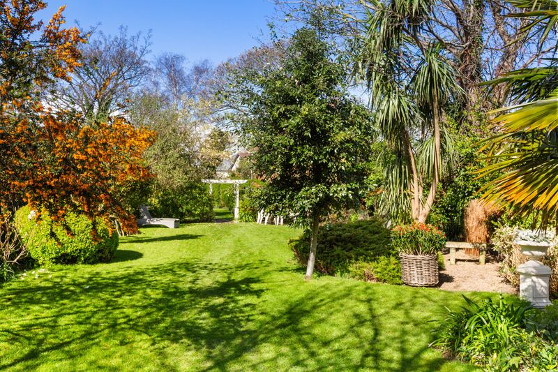 Long back garden