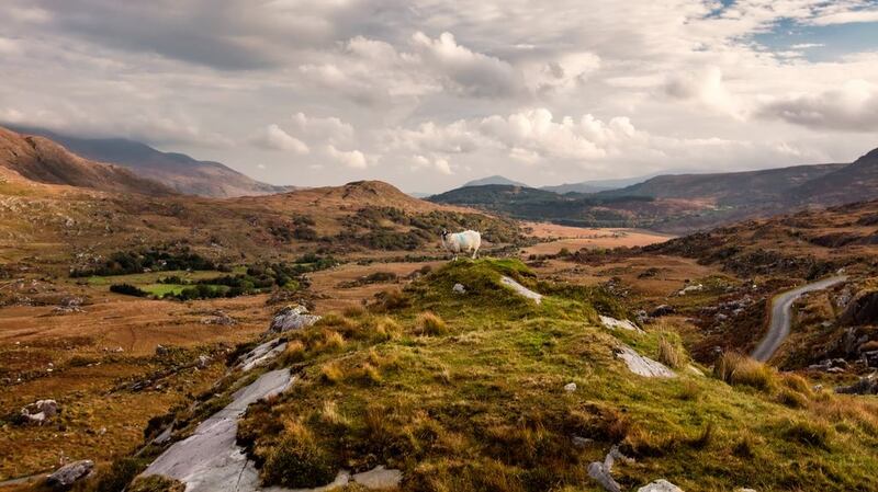 In high season, the jarveys would have your head for driving through the Gap of Dunloe in a car