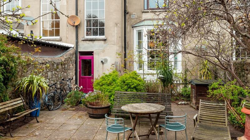 Back garden