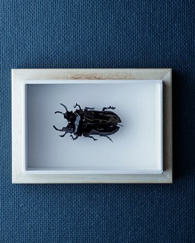 An intern said that making beetles out of fruit leather was the only culinary skill she learned in three months at Noma. Photograph: Ditte Isager for The New York Times