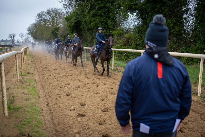 Gordon Elliott watches his string of horses on the gallops at the launch at his yard before last year's Fairyhouse Winter Festival, Photograph: Morgan Treacy/Inpho