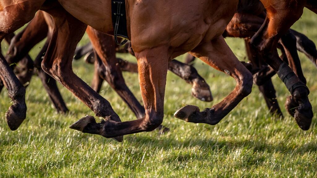 No date has been set for the appeal by controversial trainer Stephen Mahon against his four-year ban. Photograph: Morgan Treacy/Inpho
