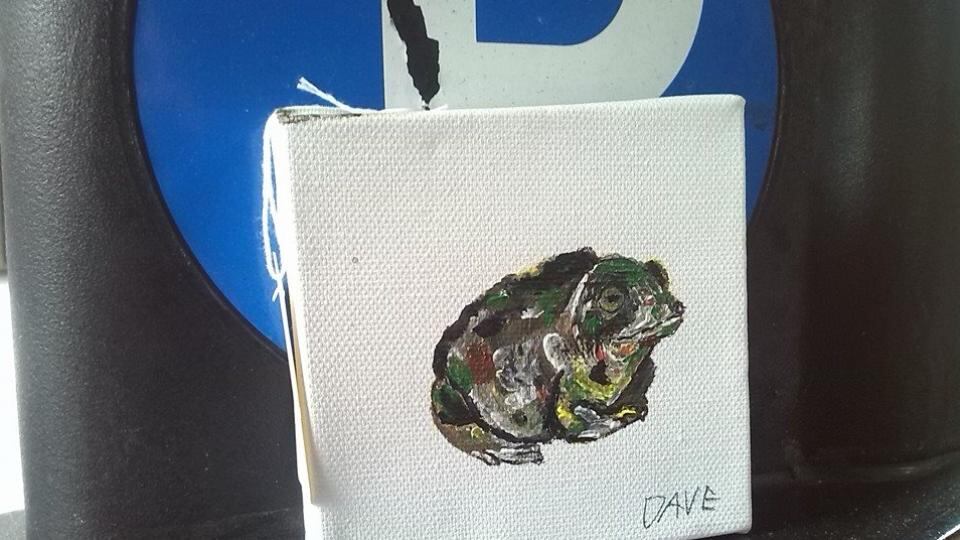 Public gallery: an EndangeredDave natterjack toad. Photograph: David Byrne/Facebook