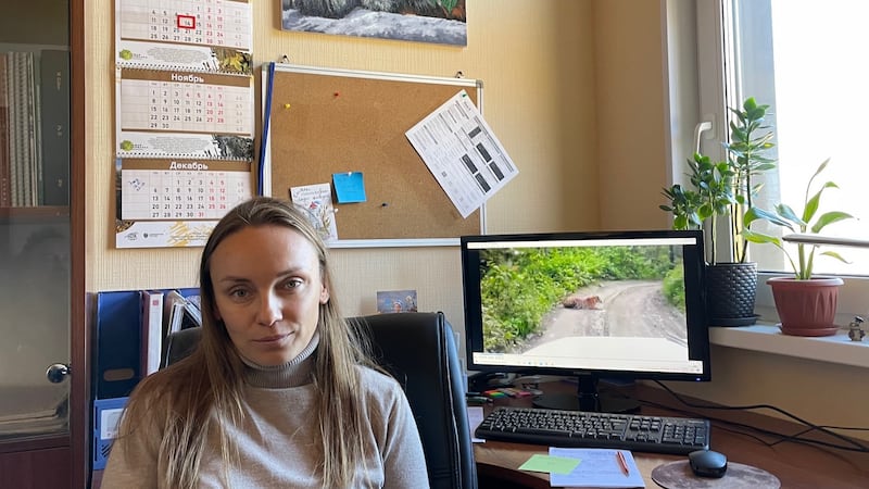 Dina Matyukhina, a senior research scientist at the Land of the Leopard national park in Russia’s Far East. Photograph: Daniel McLaughlin