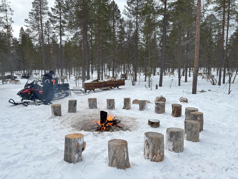 Sulo West, reindeer herder