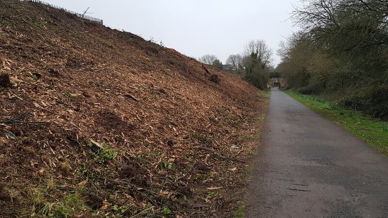 Environmentalists say the clearance of vegetation on the Cork greenway lacked sensitivity. Photograph: Barry Roche