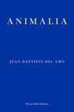 Animalia