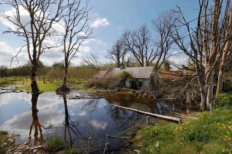 A submerged property that succumbed to the rising floodwater in 2016 at Lough Funshinagh. Photograph: Alan Betson