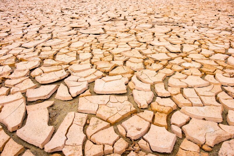 The European Commission’s corporate sustainability reporting directive is currently the only body setting standards that includes societal impact. Photograph: Alamy/PA