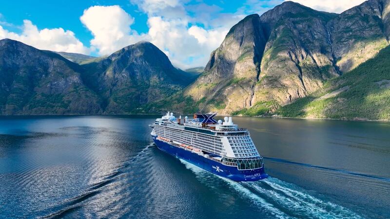 Nordic cruises are great for whale watching