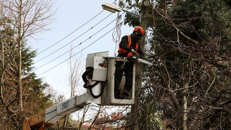 Tree surgeons working on behalf of ESB cut away a large branch of a eucalyptus tree which fell on powerlines in Dublin’s Kerrymount Avenue in Foxrock on Friday. Photograph: Brian Lawless/PA Wire