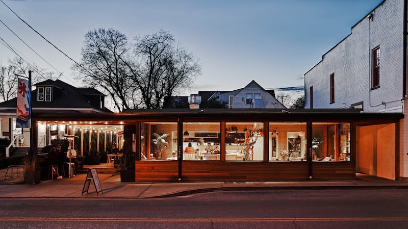 Locust in Nashville. Photograph: Andrew Thomas Lee