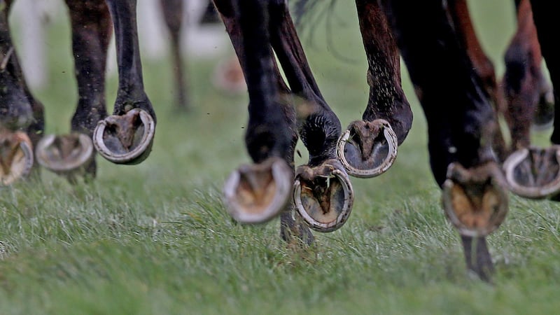 The IHRB have remained tight-lipped in response to media quaries. Photograph: Donall Farmer/Inpho