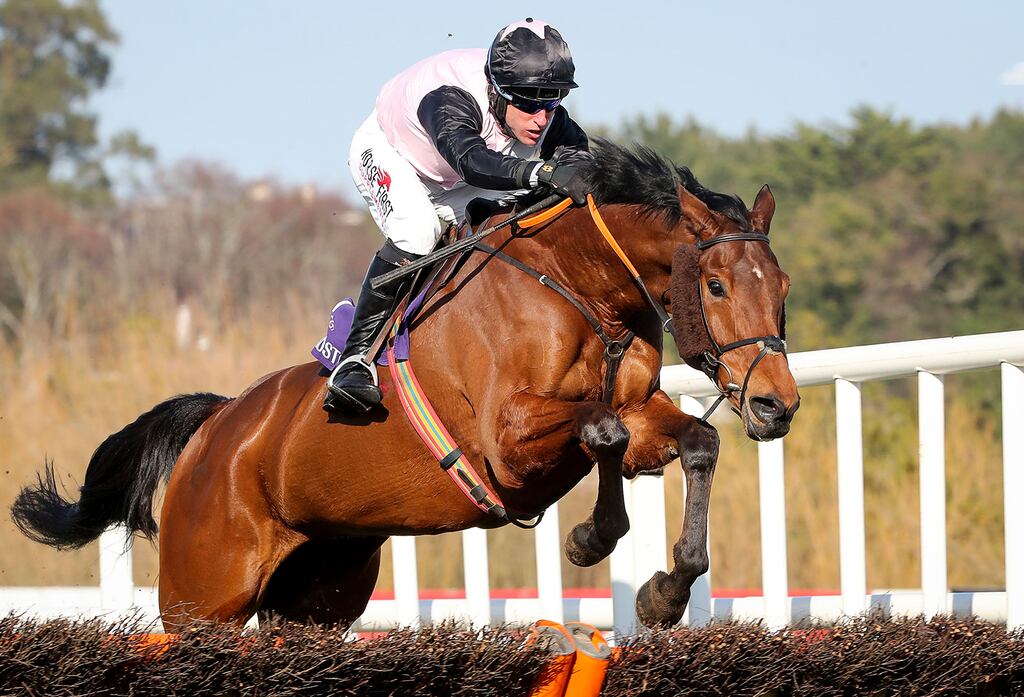 French Dynamite is among the favourites for Sunday’s Greatwood Hurdle at Cheltenham. File photograph: Caroline Norris/Inpho